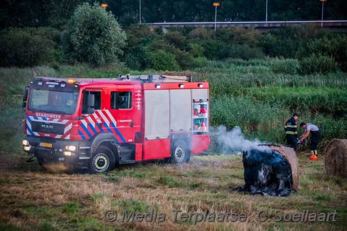 Mediaterplaatse hooi in bvrand beverwijk 0001Image00001