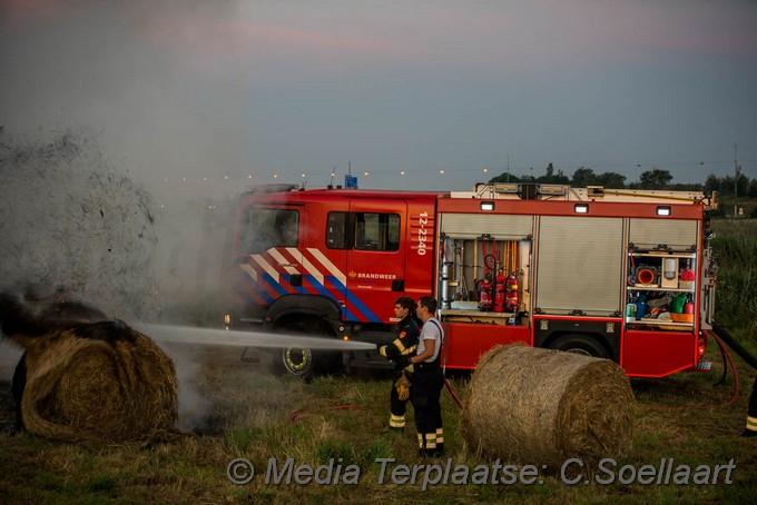 Mediaterplaatse hooi in bvrand beverwijk 0001Image00004