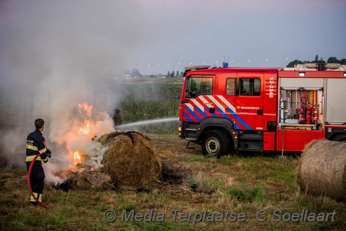 Mediaterplaatse hooi in bvrand beverwijk 0001Image00005