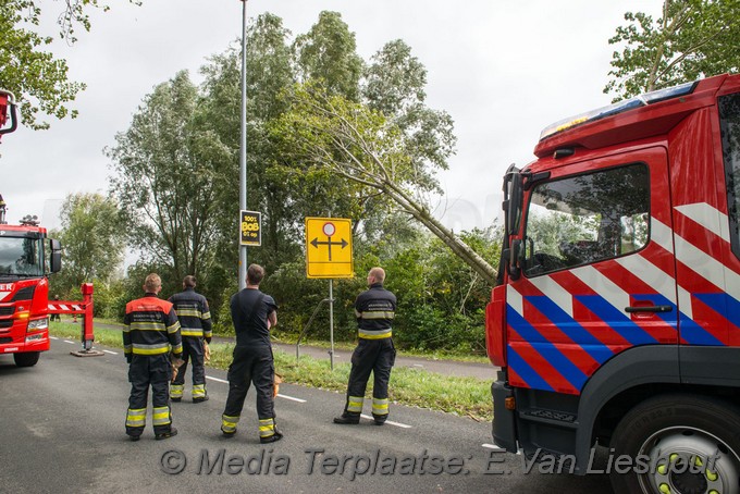 Mediaterplaatse boom dreigt om te gaan hoofddorp 0001Image00002