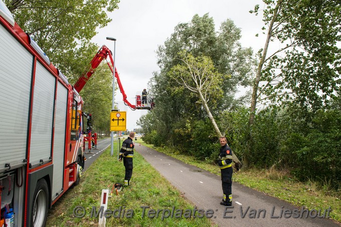 Mediaterplaatse boom dreigt om te gaan hoofddorp 0001Image00003