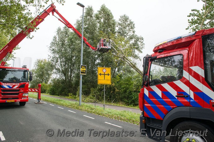 Mediaterplaatse boom dreigt om te gaan hoofddorp 0001Image00006