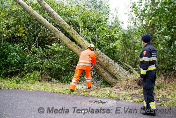 Mediaterplaatse boom dreigt om te gaan hoofddorp 0001Image00008