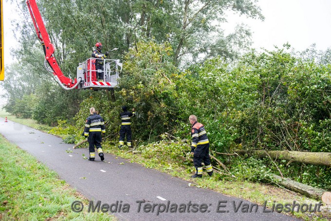 Mediaterplaatse boom dreigt om te gaan hoofddorp 0001Image00010