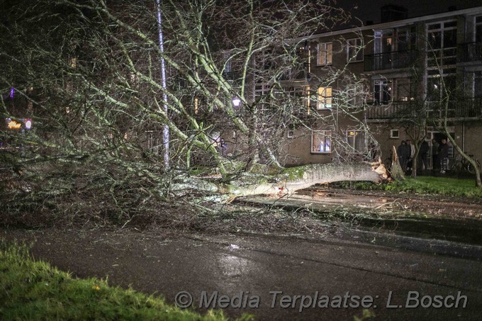 Mediaterplaatse boom op weg ddor storm haarlem 09022020 Image00001