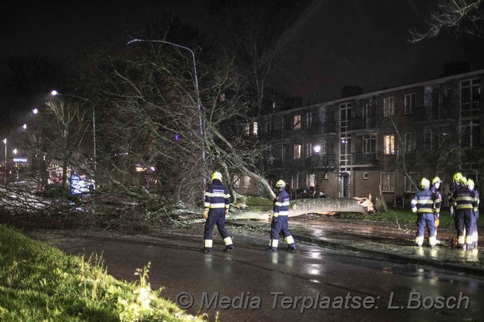 Mediaterplaatse boom op weg ddor storm haarlem 09022020 Image00002
