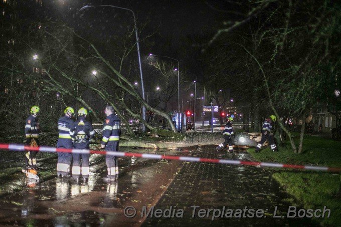 Mediaterplaatse boom op weg ddor storm haarlem 09022020 Image00003