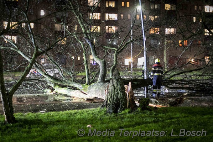 Mediaterplaatse boom op weg ddor storm haarlem 09022020 Image00004