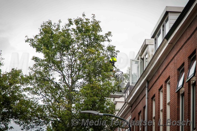 Mediaterplaatse dode bij brand woning haarlem 14072020 0001Image00001