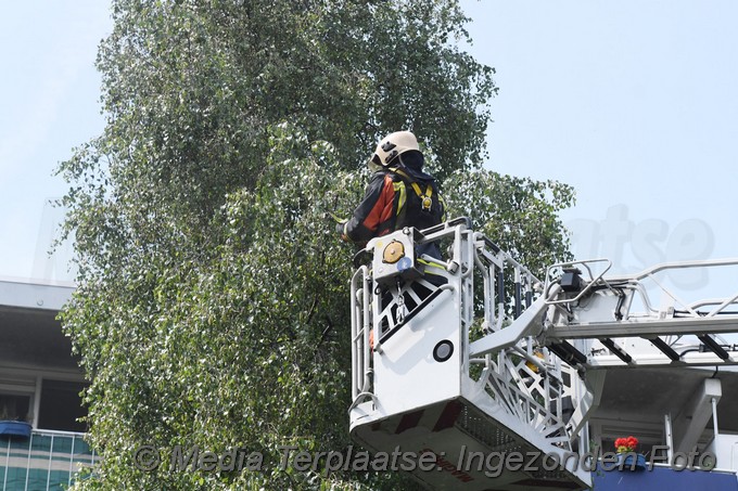 Mediaterplaatse brandweer red vogels ldn 1872020 0001Image00002