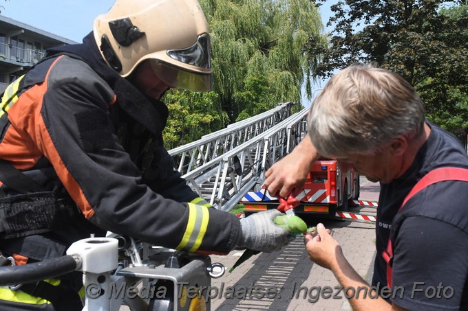 Mediaterplaatse brandweer red vogels ldn 1872020 0001Image00008