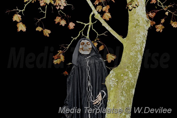 Media Terplaatse Halloween lisse 25102014 Image00004