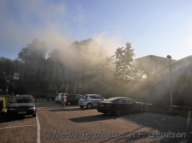 Mediaterplaatse hooi brand groen van prinsensingel gouda 0001Image00002