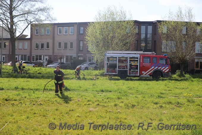 Mediaterplaatse brandje steinse groen te gouda 10042020 Image00002