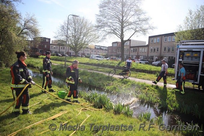 Mediaterplaatse brandje steinse groen te gouda 10042020 Image00013