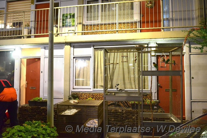 Mediaterplaatse brandweer red vogels uit de rook ldn 22082021 Image00002