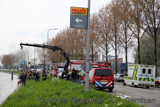 Mediaterplaatse dier te water gouda 03052021 Image00005
