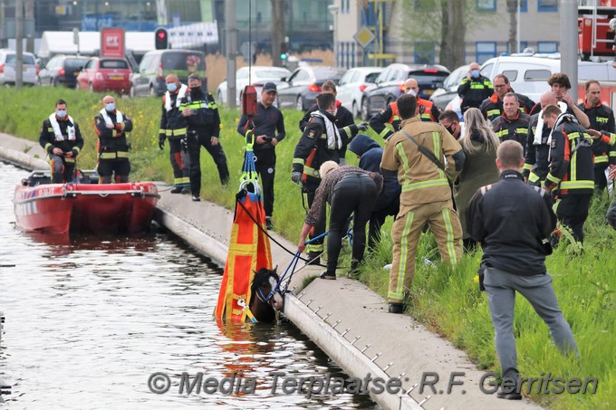 Mediaterplaatse dier te water gouda 03052021 Image00046