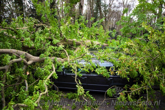 Mediaterplaatse boom valt op auto bloemendaal 04052021 Image00002