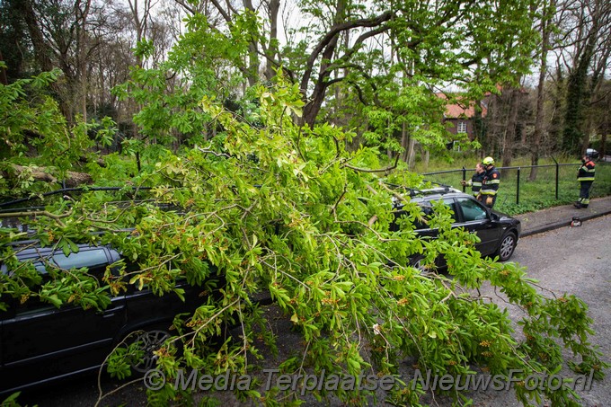 Mediaterplaatse boom valt op auto bloemendaal 04052021 Image00003