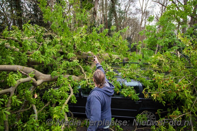 Mediaterplaatse boom valt op auto bloemendaal 04052021 Image00004