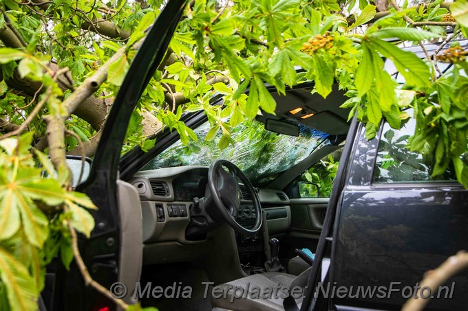 Mediaterplaatse boom valt op auto bloemendaal 04052021 Image00005