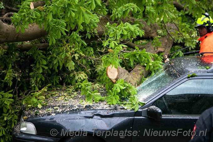 Mediaterplaatse boom valt op auto bloemendaal 04052021 Image00006
