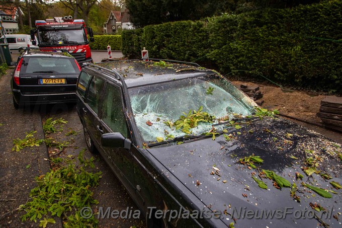 Mediaterplaatse boom valt op auto bloemendaal 04052021 Image00010
