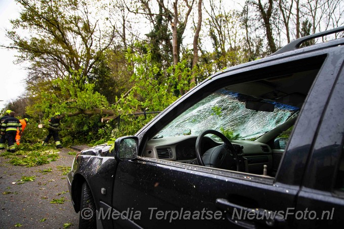 Mediaterplaatse boom valt op auto bloemendaal 04052021 Image00012