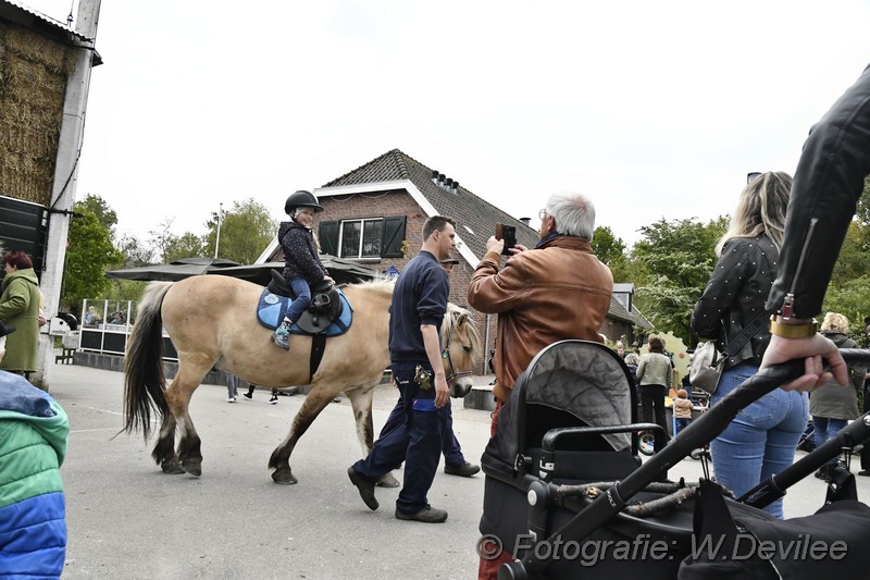 Mediaterplaatse schaapenscheer feest ldn merenwijk 30042022 Image02002