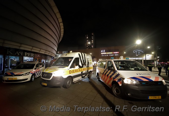 Mediaterplaatse brandgerucht woningbrand rotterdam 04022022 Image00011