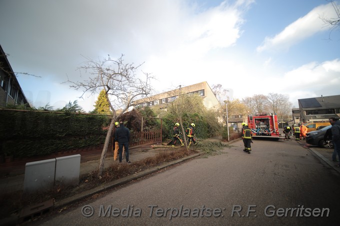 Mediaterplaatse stormschade in gouda 18022022 Image00003