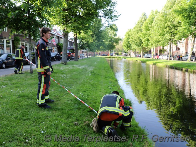 Mediaterplaatse storm schade boom gouda 13052022 Image00003