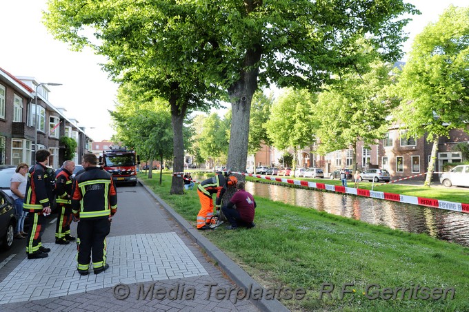 Mediaterplaatse storm schade boom gouda 13052022 Image00007