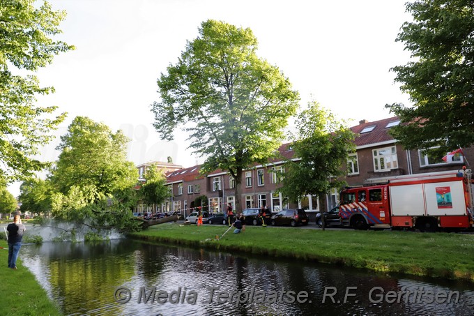 Mediaterplaatse storm schade boom gouda 13052022 Image00011