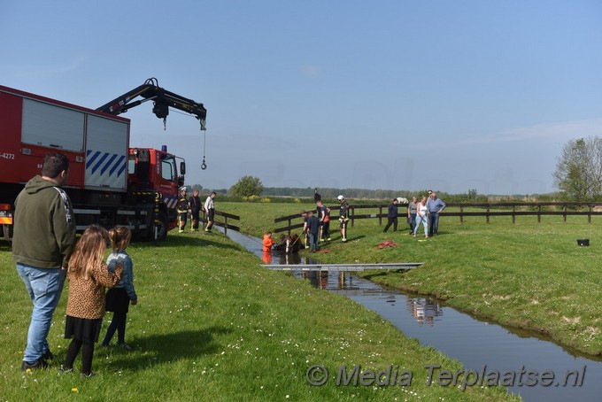 Mediaterplaatse paard uit sloot valkenburg zh 07052022 Image00001