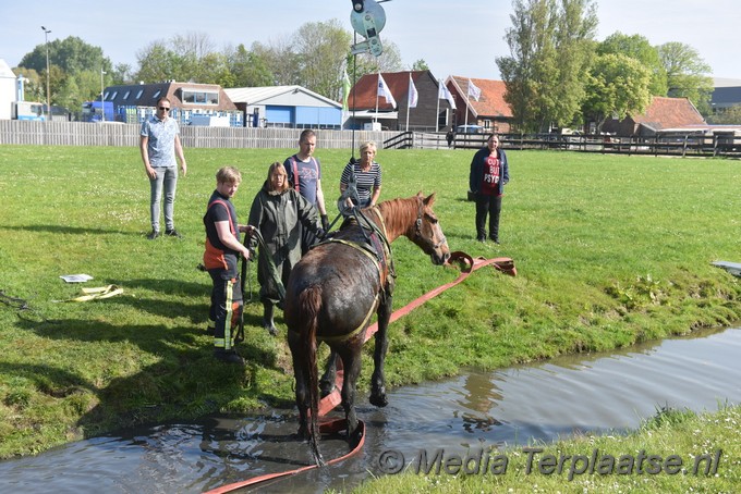 Mediaterplaatse paard uit sloot valkenburg zh 07052022 Image00005