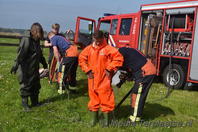 Mediaterplaatse paard uit sloot valkenburg zh 07052022 Image00011