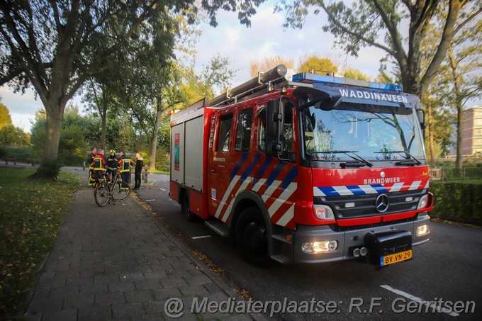 Mediaterplaatse stormschade groenezoom waddinxveen 01112022 Image00003