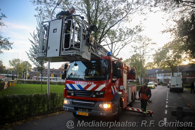 Mediaterplaatse stormschade groenezoom waddinxveen 01112022 Image00018