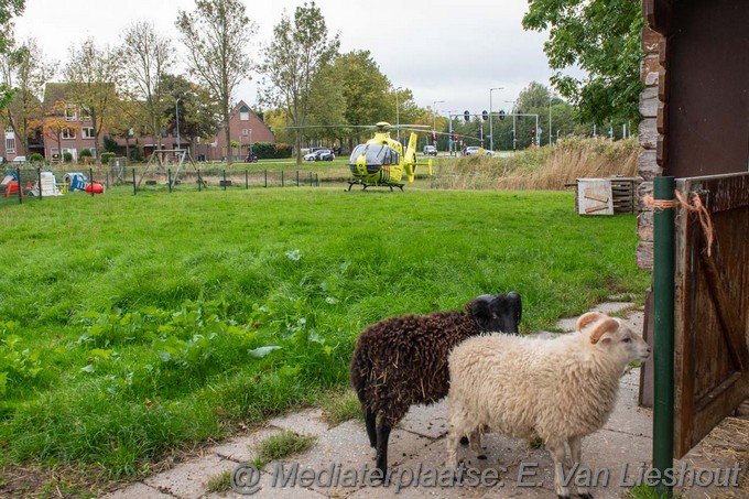 Mediaterplaatse mmt holmtuin nodig hoofddorp 22102022Image00007