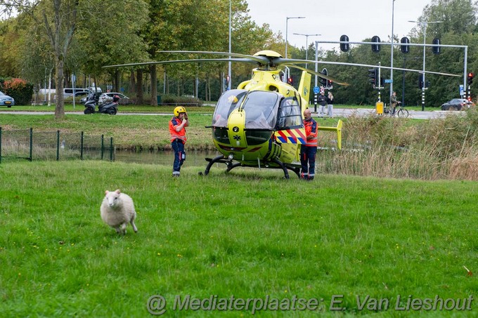 Mediaterplaatse mmt holmtuin nodig hoofddorp 22102022Image00011