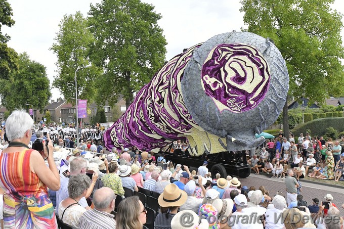 Mediaterplaatse bloemencorso zundert 04092022Image00008