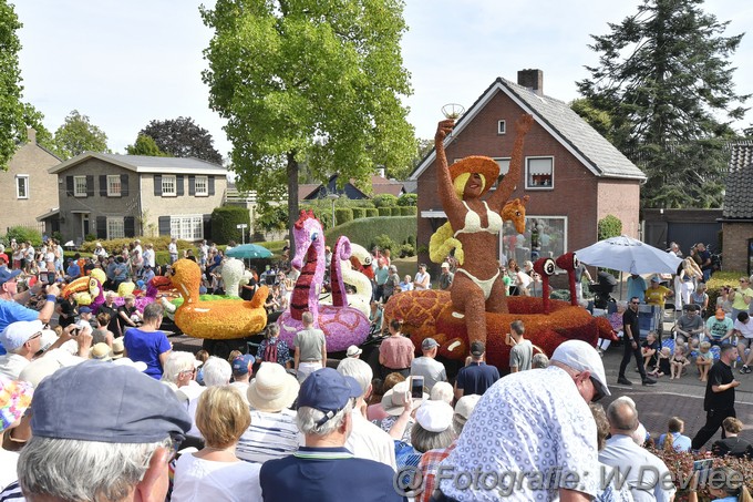 Mediaterplaatse bloemencorso zundert 04092022Image00021