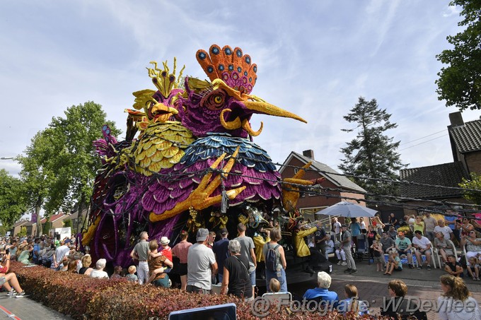 Mediaterplaatse bloemencorso zundert 04092022Image00027