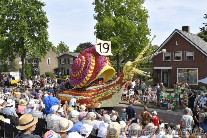 Mediaterplaatse bloemencorso zundert 04092022Image00031