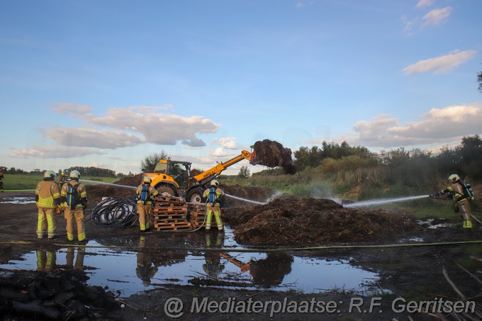 Mediaterplaatse broei negen viertel reeuwijk 21092022Image00044