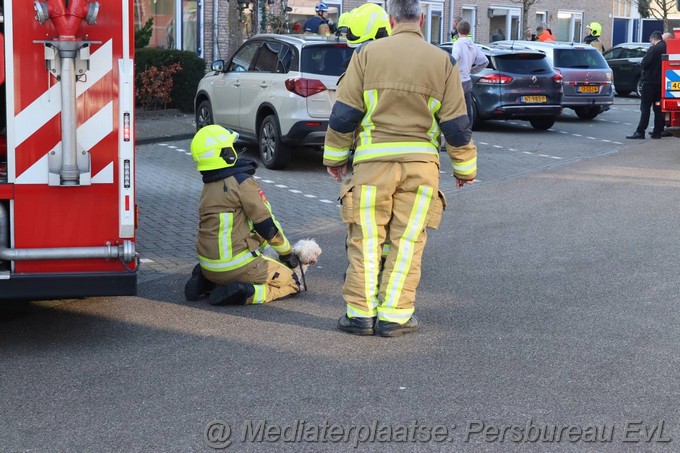 Mediaterplaatse woningbrand heemstede twee honden gered 13022023 Image00001