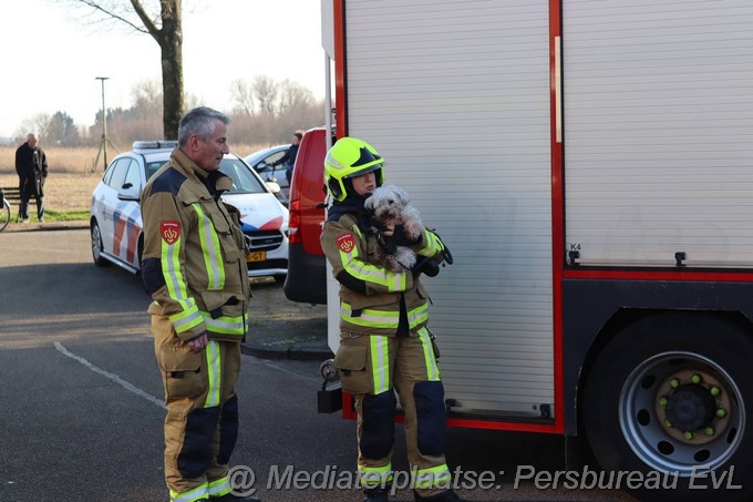 Mediaterplaatse woningbrand heemstede twee honden gered 13022023 Image00004