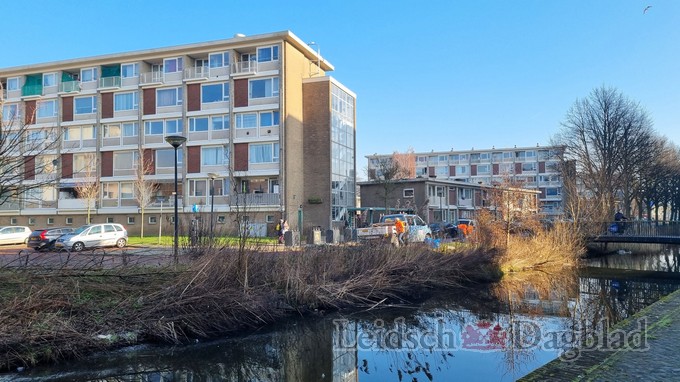 Mediaterplaatse bomen langs het water om leiden 14022023 Image00113